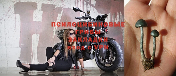 соль курить ск Михайлов
