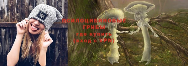 Альфа ПВП Абаза