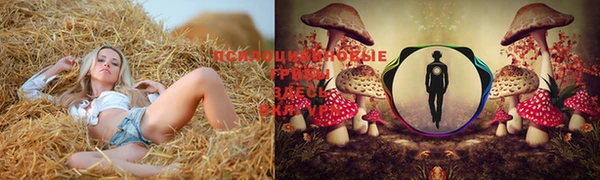 Альфа ПВП Абаза